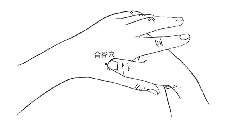 62f351a782e645be9013291cfee816aa.jpeg